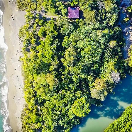 Punta Preciosa Acomodação com café da manhã Puerto Jiménez Exterior foto