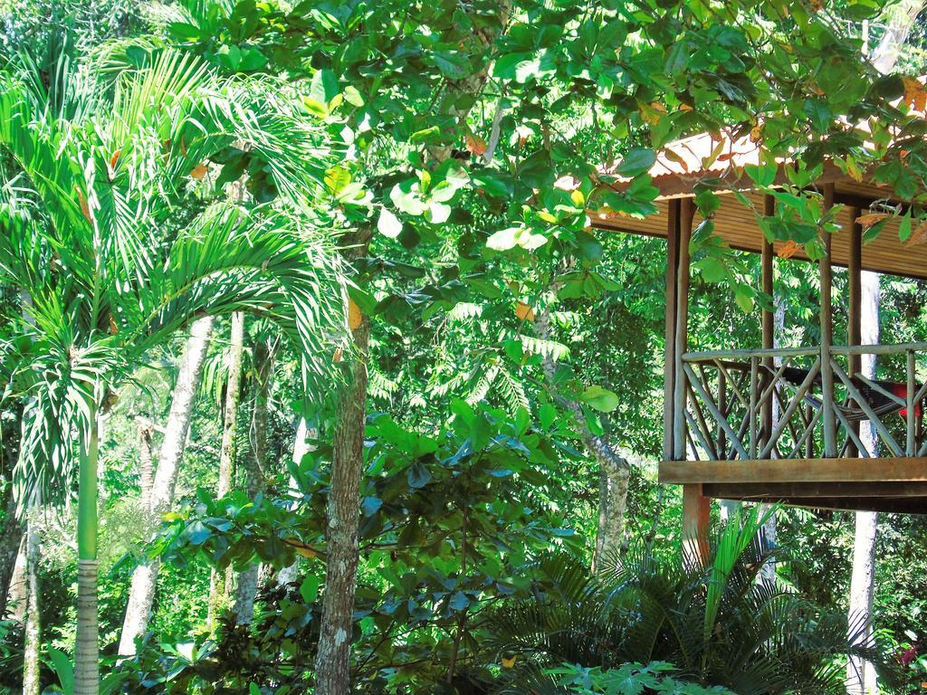 Punta Preciosa Acomodação com café da manhã Puerto Jiménez Exterior foto