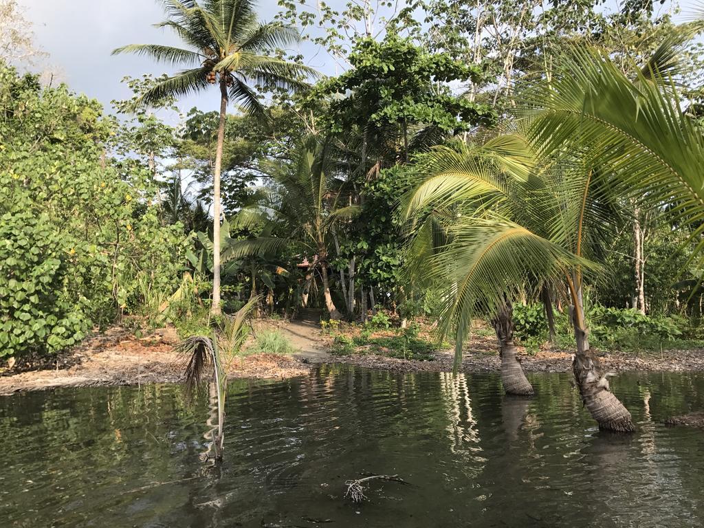 Punta Preciosa Acomodação com café da manhã Puerto Jiménez Exterior foto