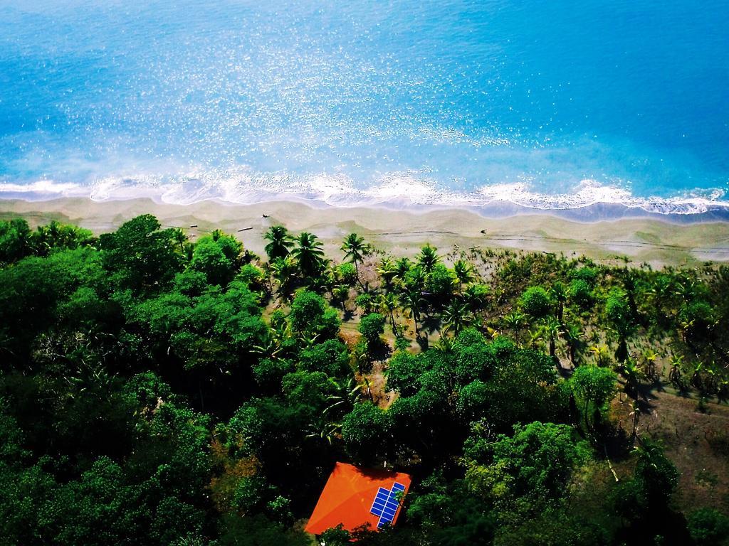 Punta Preciosa Acomodação com café da manhã Puerto Jiménez Exterior foto