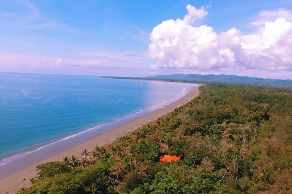 Punta Preciosa Acomodação com café da manhã Puerto Jiménez Exterior foto