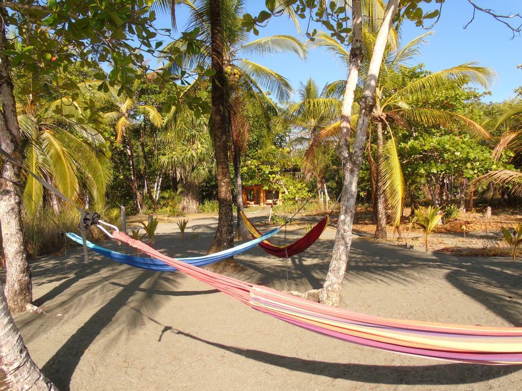 Punta Preciosa Acomodação com café da manhã Puerto Jiménez Exterior foto