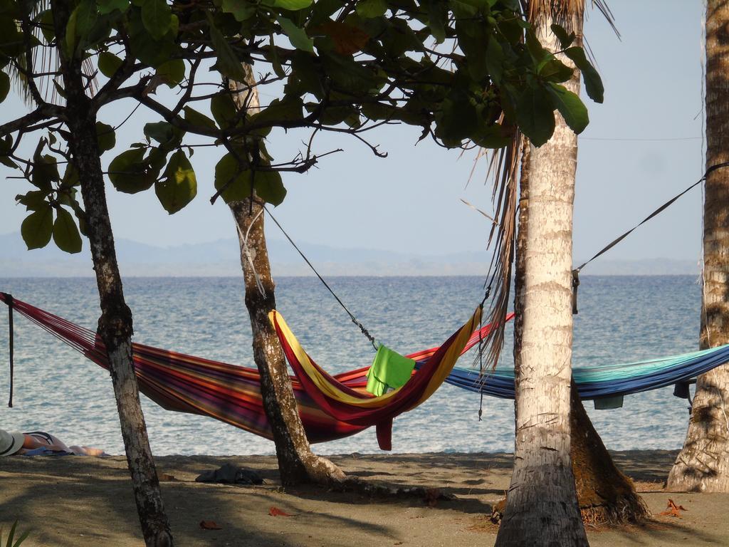 Punta Preciosa Acomodação com café da manhã Puerto Jiménez Exterior foto