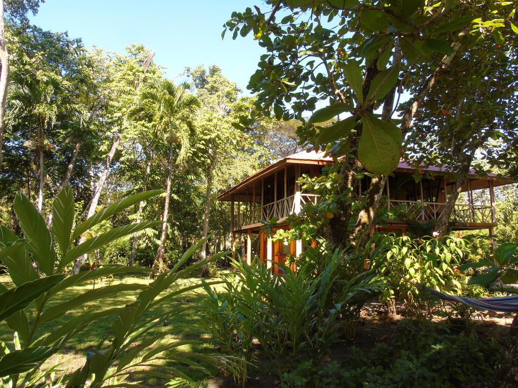 Punta Preciosa Acomodação com café da manhã Puerto Jiménez Exterior foto