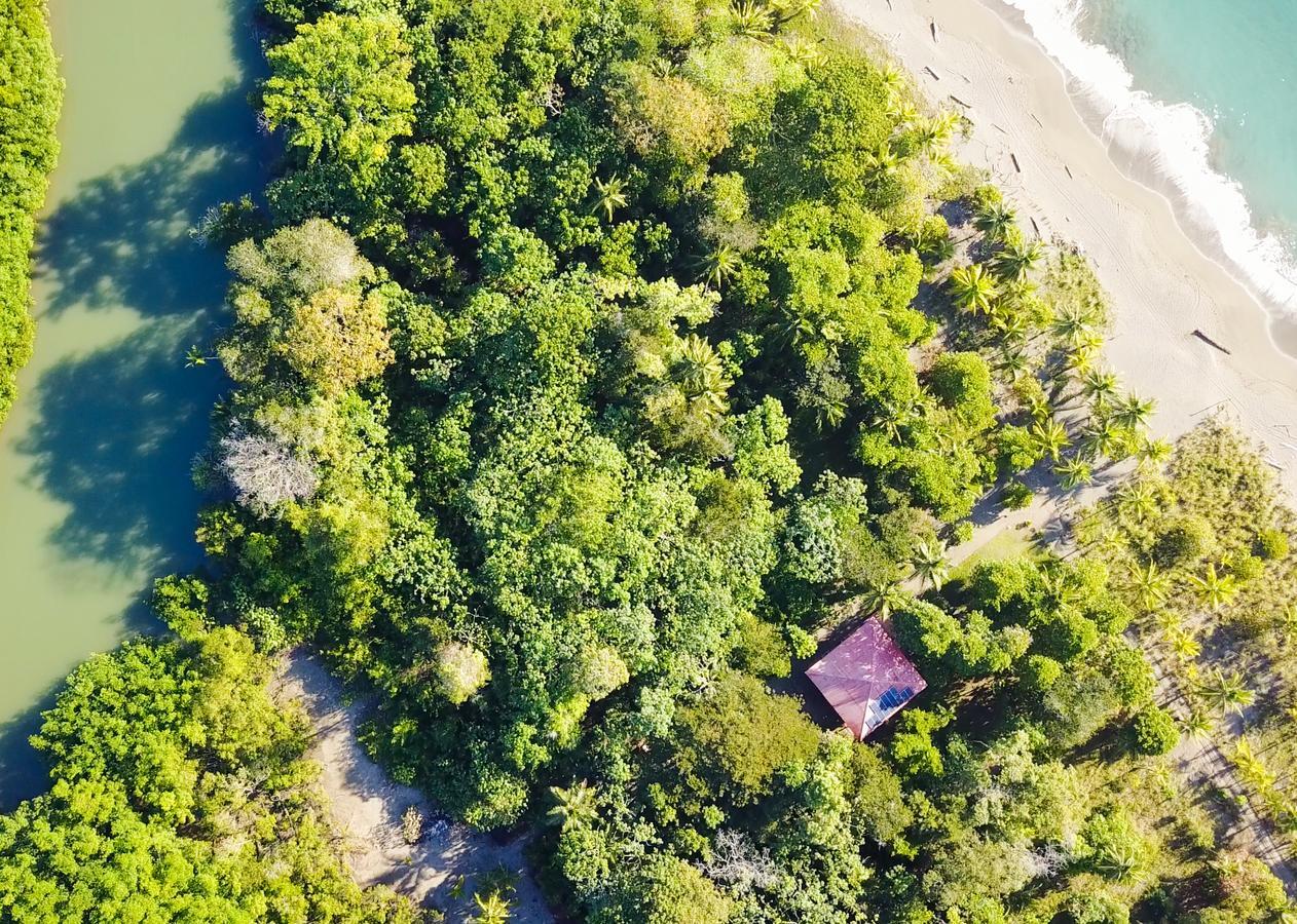 Punta Preciosa Acomodação com café da manhã Puerto Jiménez Exterior foto