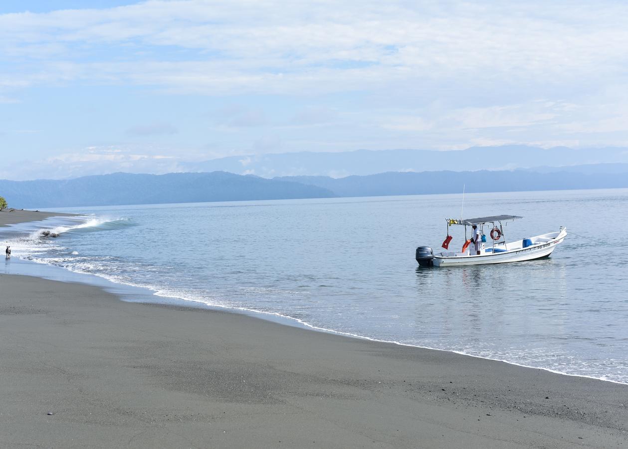 Punta Preciosa Acomodação com café da manhã Puerto Jiménez Exterior foto