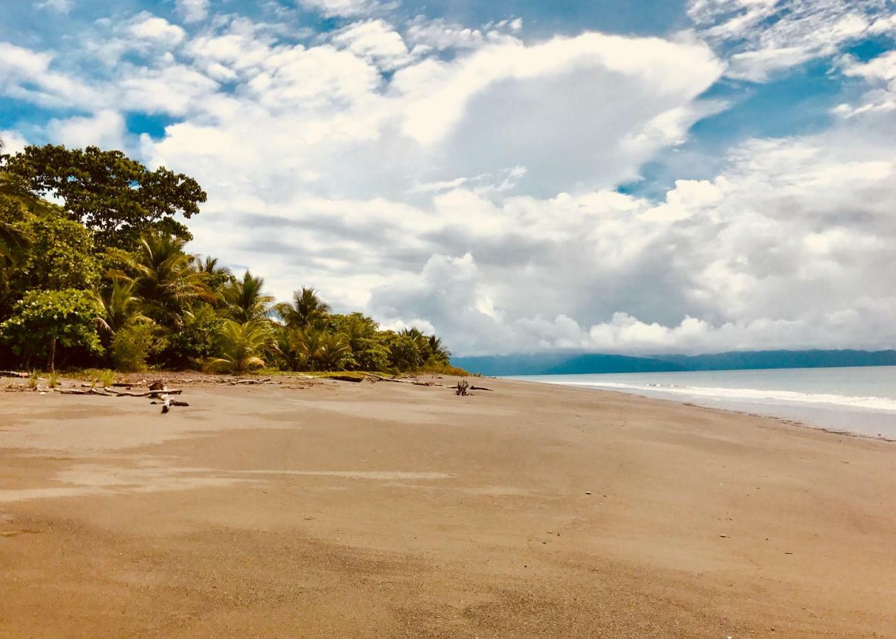 Punta Preciosa Acomodação com café da manhã Puerto Jiménez Exterior foto