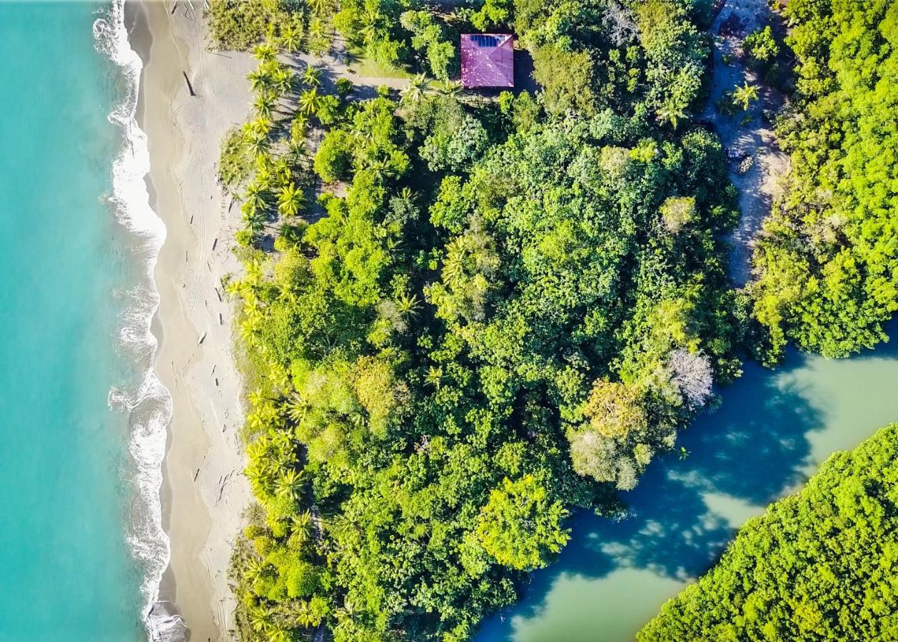 Punta Preciosa Acomodação com café da manhã Puerto Jiménez Exterior foto